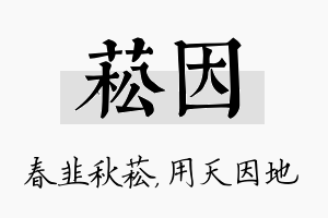 菘因名字的寓意及含义