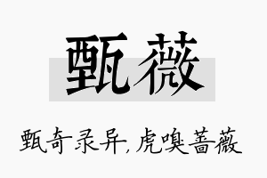 甄薇名字的寓意及含义