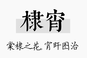 棣宵名字的寓意及含义