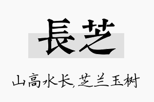 长芝名字的寓意及含义