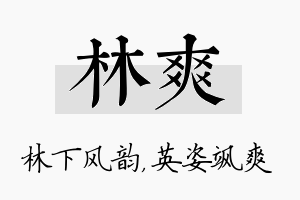 林爽名字的寓意及含义