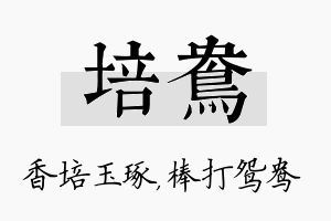 培鸯名字的寓意及含义