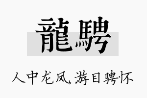 龙骋名字的寓意及含义