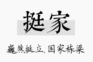 挺家名字的寓意及含义