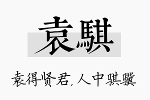 袁骐名字的寓意及含义