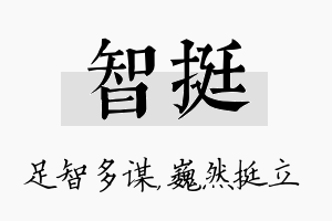 智挺名字的寓意及含义