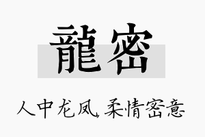 龙密名字的寓意及含义