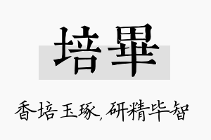 培毕名字的寓意及含义