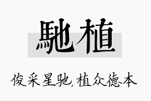 驰植名字的寓意及含义