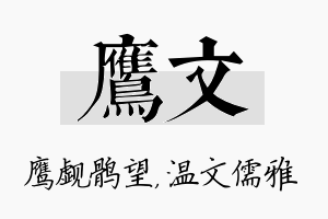 鹰文名字的寓意及含义