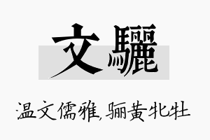 文骊名字的寓意及含义