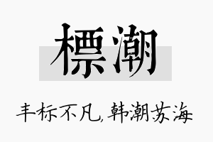 标潮名字的寓意及含义