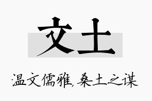 文土名字的寓意及含义