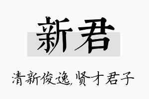 新君名字的寓意及含义