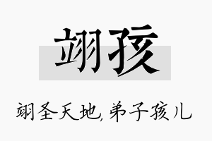 翊孩名字的寓意及含义