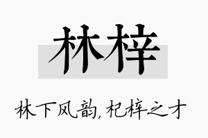 林梓名字的寓意及含义