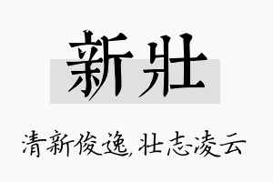 新壮名字的寓意及含义