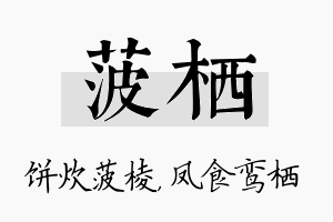 菠栖名字的寓意及含义