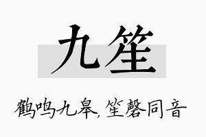 九笙名字的寓意及含义