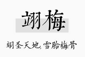 翊梅名字的寓意及含义