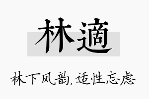 林适名字的寓意及含义