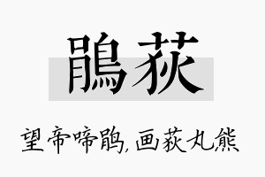 鹃荻名字的寓意及含义