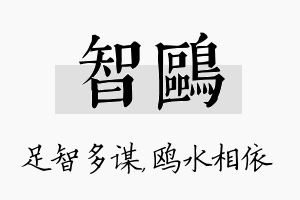 智鸥名字的寓意及含义