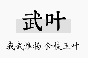 武叶名字的寓意及含义