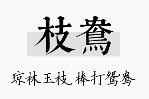 枝鸯名字的寓意及含义