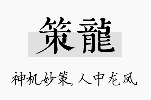 策龙名字的寓意及含义