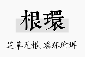 根环名字的寓意及含义