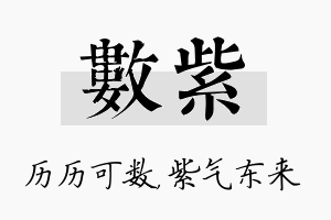 数紫名字的寓意及含义