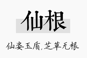 仙根名字的寓意及含义