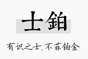 士铂名字的寓意及含义