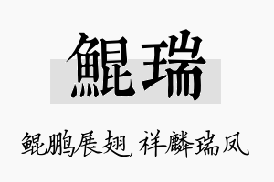 鲲瑞名字的寓意及含义