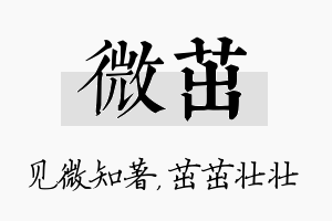 微茁名字的寓意及含义