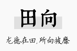 田向名字的寓意及含义