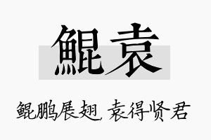 鲲袁名字的寓意及含义