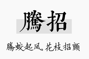 腾招名字的寓意及含义