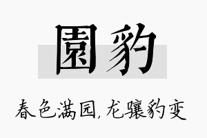 园豹名字的寓意及含义