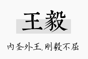 王毅名字的寓意及含义