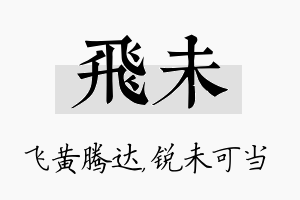 飞未名字的寓意及含义