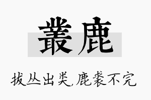 丛鹿名字的寓意及含义