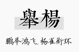 举杨名字的寓意及含义