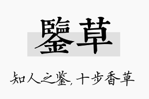 鉴草名字的寓意及含义