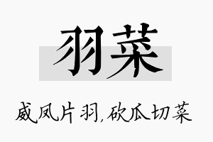 羽菜名字的寓意及含义