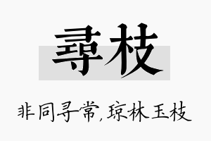 寻枝名字的寓意及含义