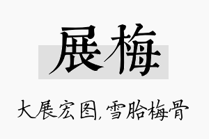 展梅名字的寓意及含义