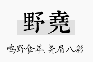 野尧名字的寓意及含义