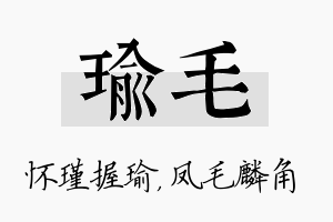 瑜毛名字的寓意及含义